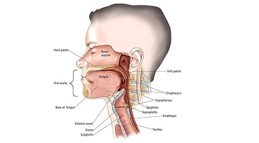 Head and Neck Reconstruction - Dr Abizer Kapadia